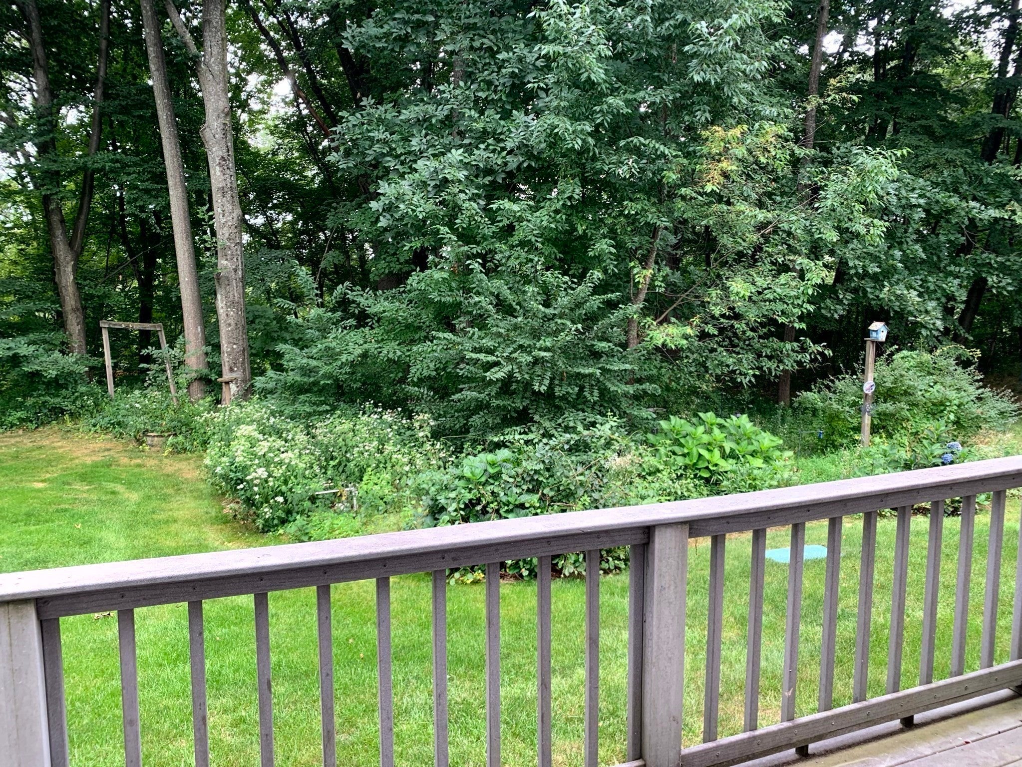 283 Fuller Rd #T, Chicopee, MA Photo #26