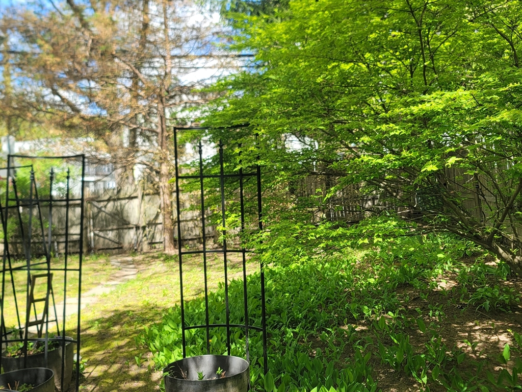 295 West Street, Boston, MA Photo #11