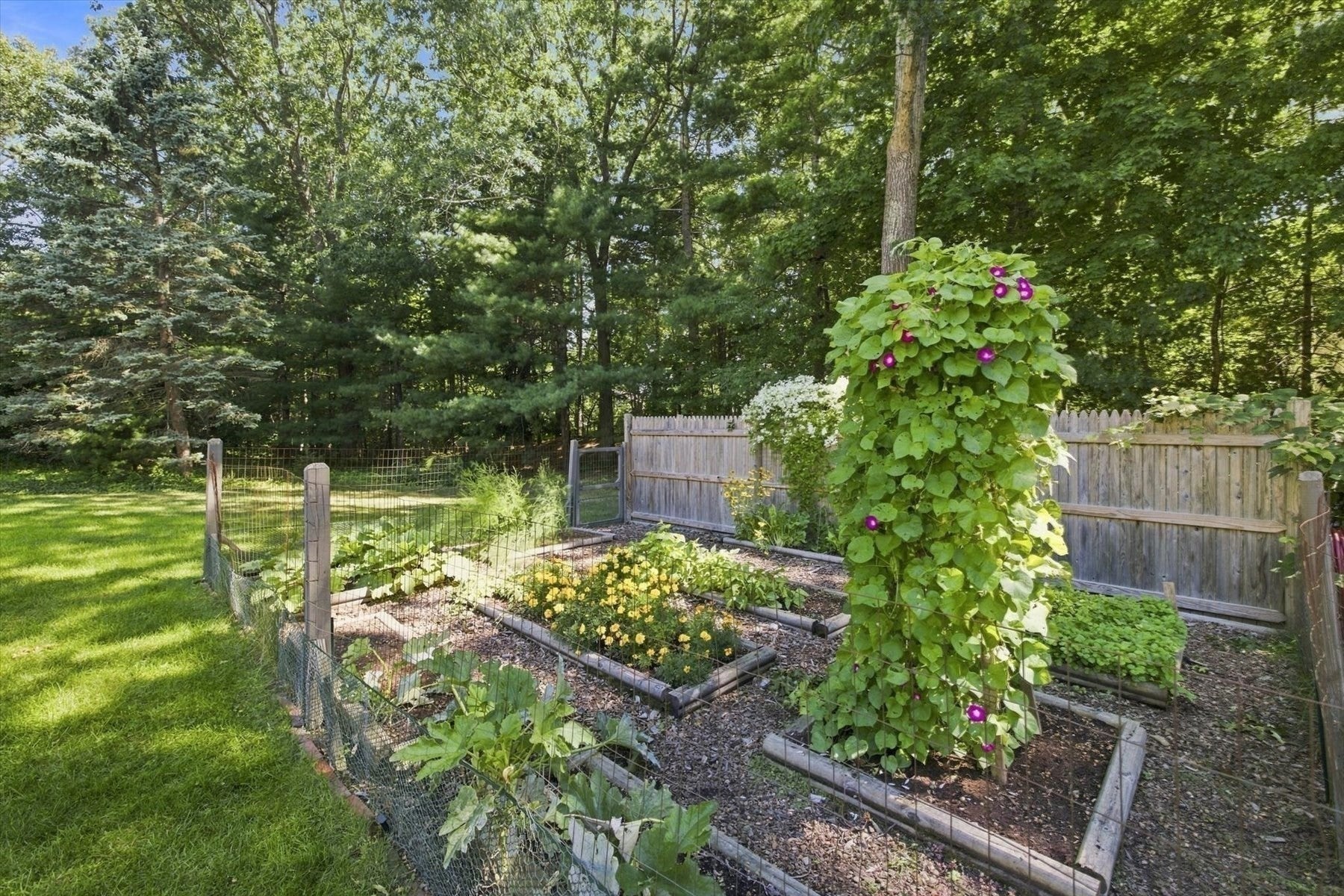59 Beaverbrook Ln, Duxbury, MA Photo #36