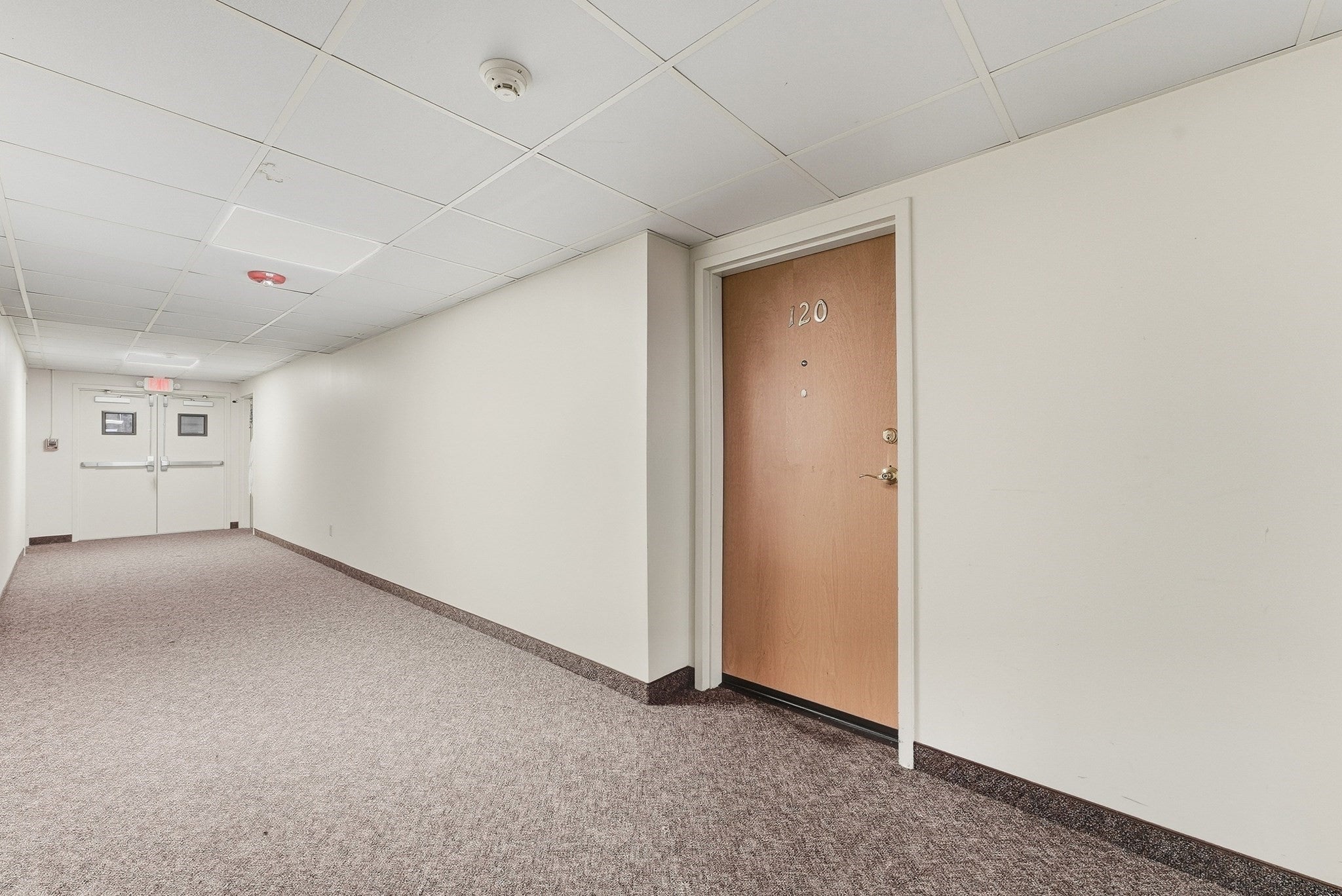 101 Mulberry Street #120, Springfield, MA, 101 Mulberry Street #120, Springfield, MA Photo #6