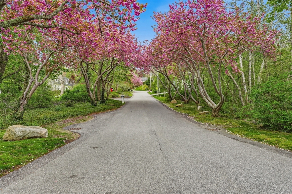55 Ridgeview Dr, Falmouth, MA Photo #32