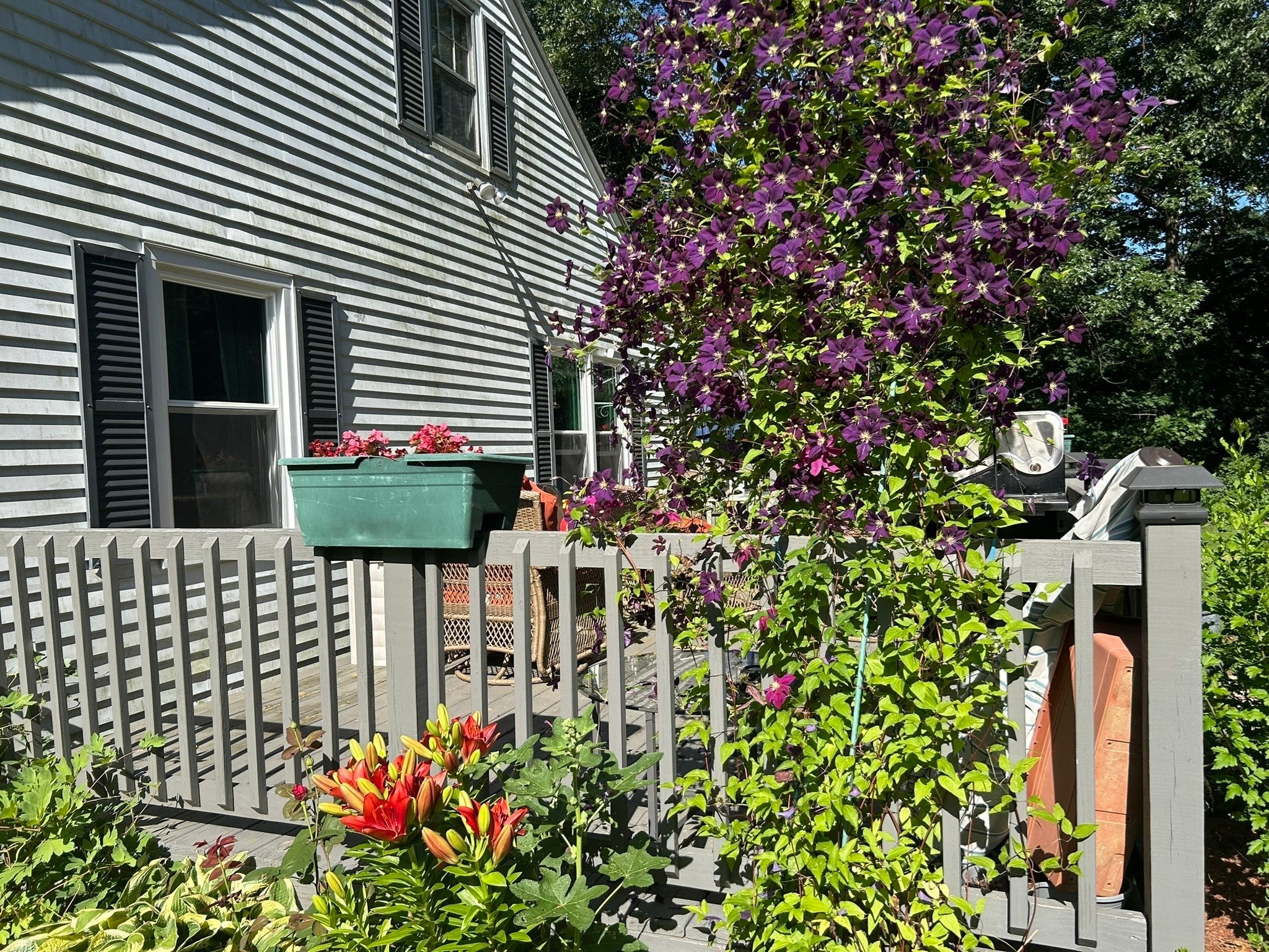 10 Ridgewood Ave, Southbridge, MA, 10 Ridgewood Ave, Southbridge, MA Photo #27