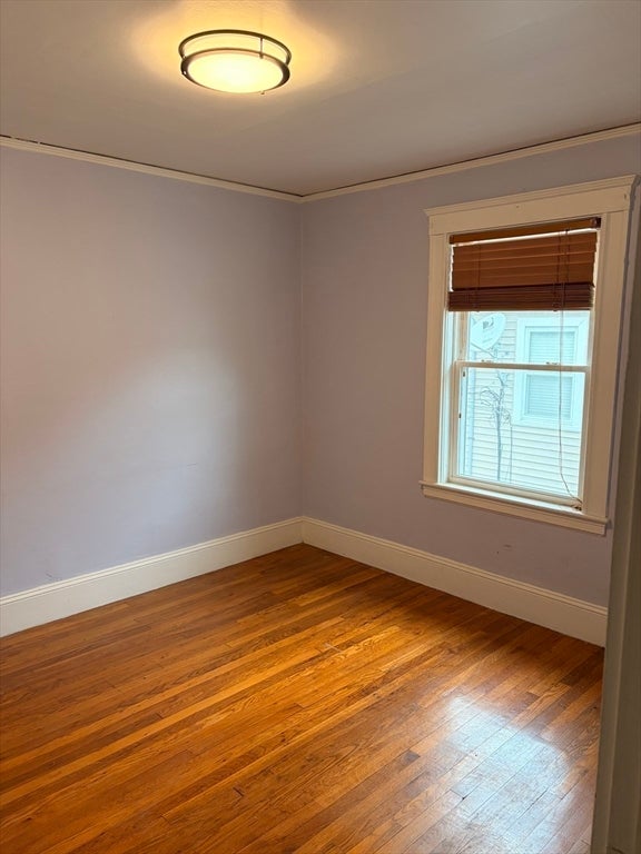 12 Tolman St #-, Waltham, MA, 12 Tolman St #-, Waltham, MA Photo #7