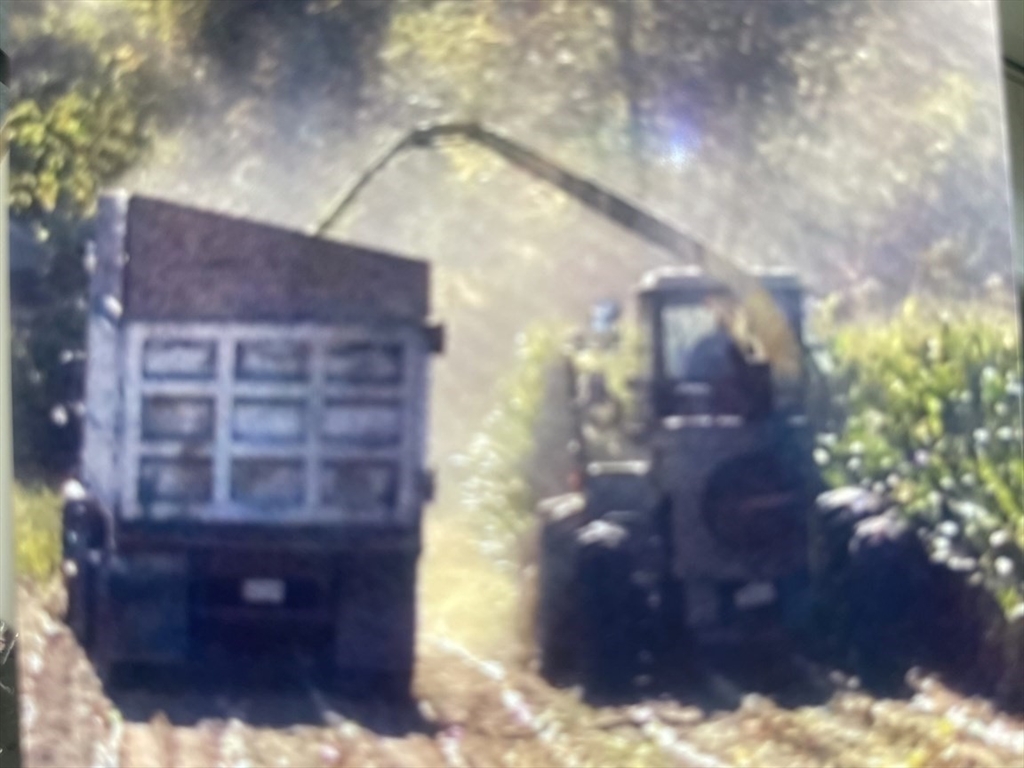 0 North Wheaton Avenue