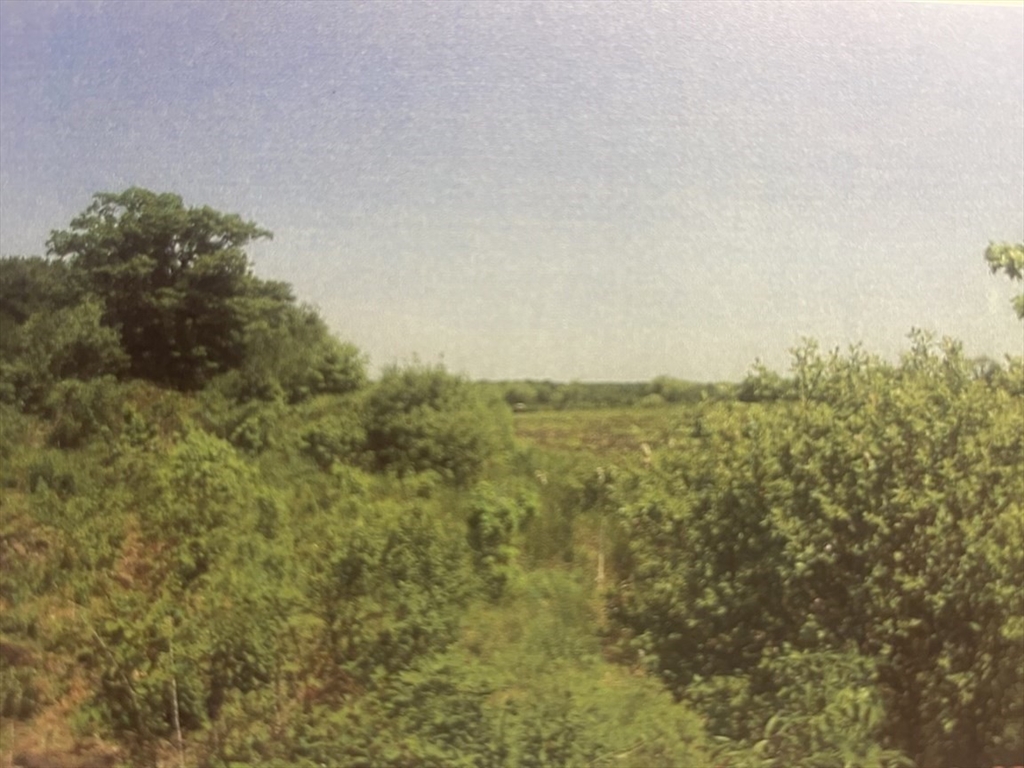 0 North Wheaton Avenue