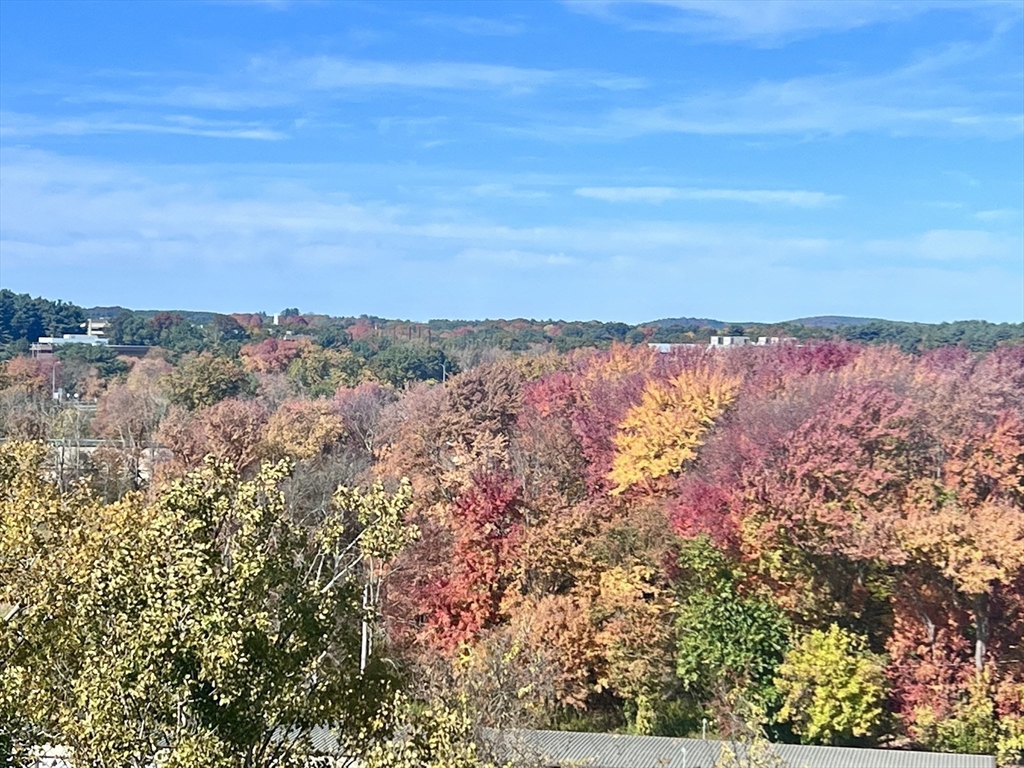 40 Nouvelle Way N749