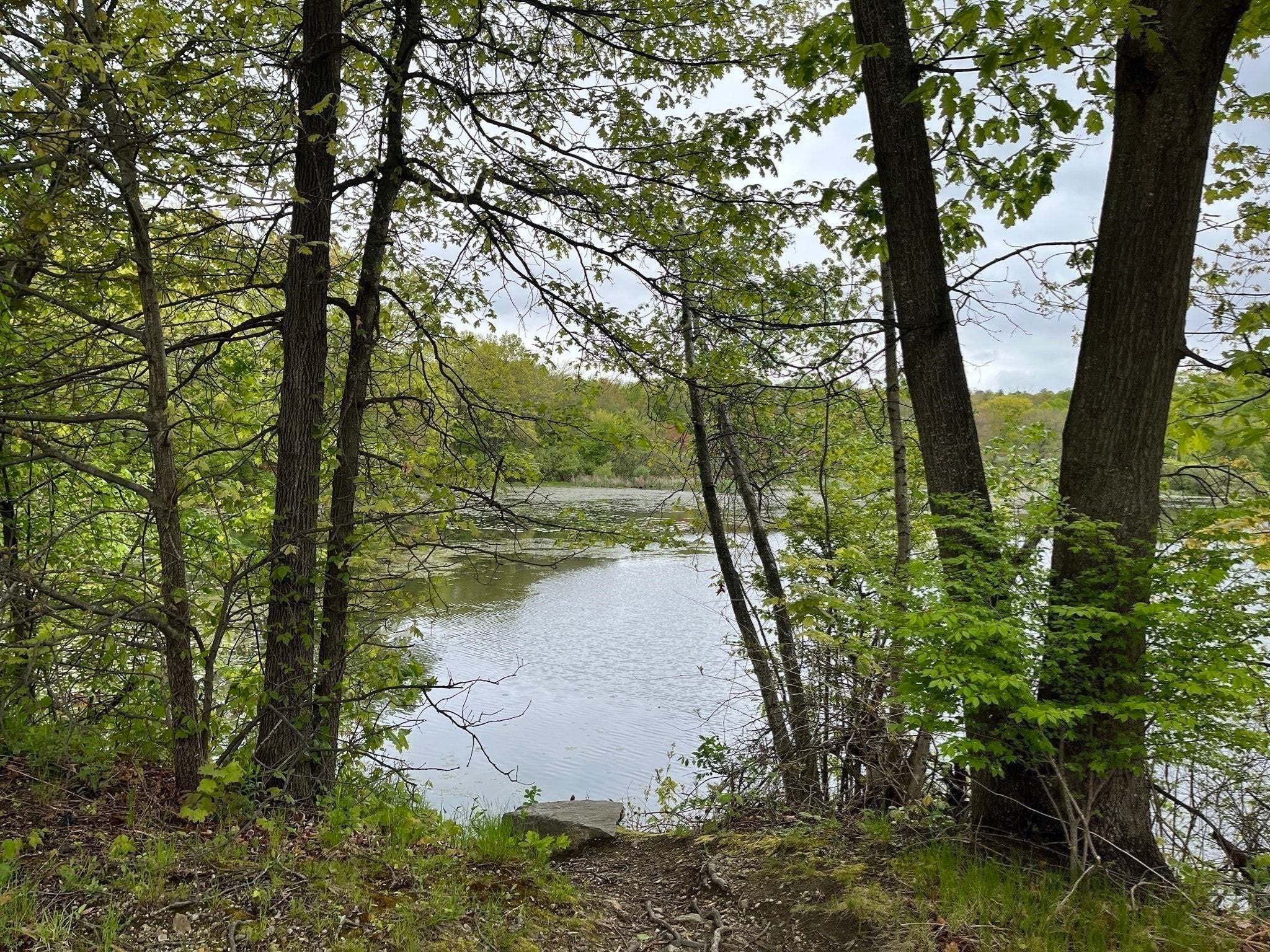 17 Arcade Street #B, Northbridge, MA Photo #19
