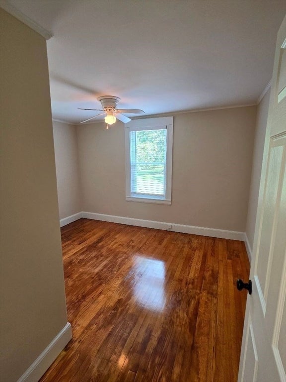 441 Walpole St #A, Canton, MA, 441 Walpole St #A, Canton, MA Photo #7