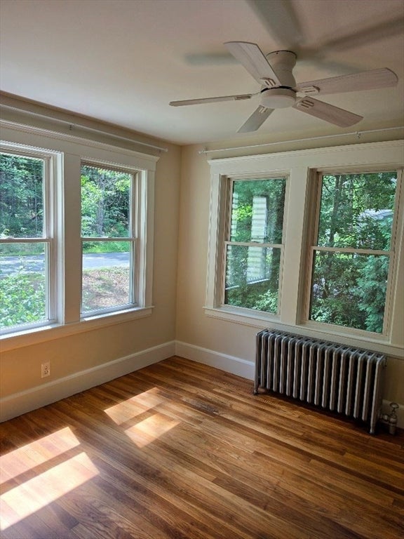 441 Walpole St #A, Canton, MA, 441 Walpole St #A, Canton, MA Photo #17