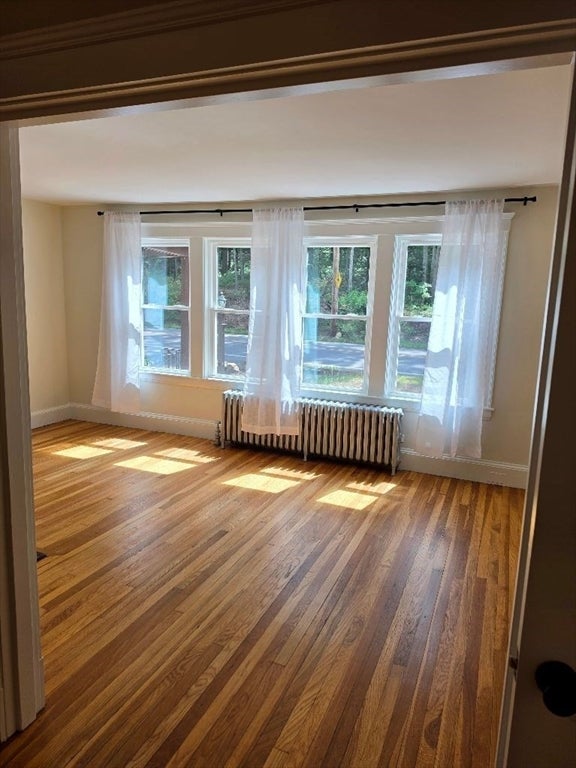 441 Walpole St #A, Canton, MA, 441 Walpole St #A, Canton, MA Photo #16