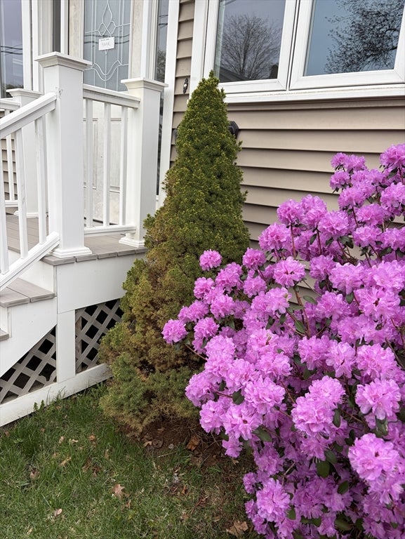 53 Ellington Rd, Quincy, MA, 53 Ellington Rd, Quincy, MA Photo #3