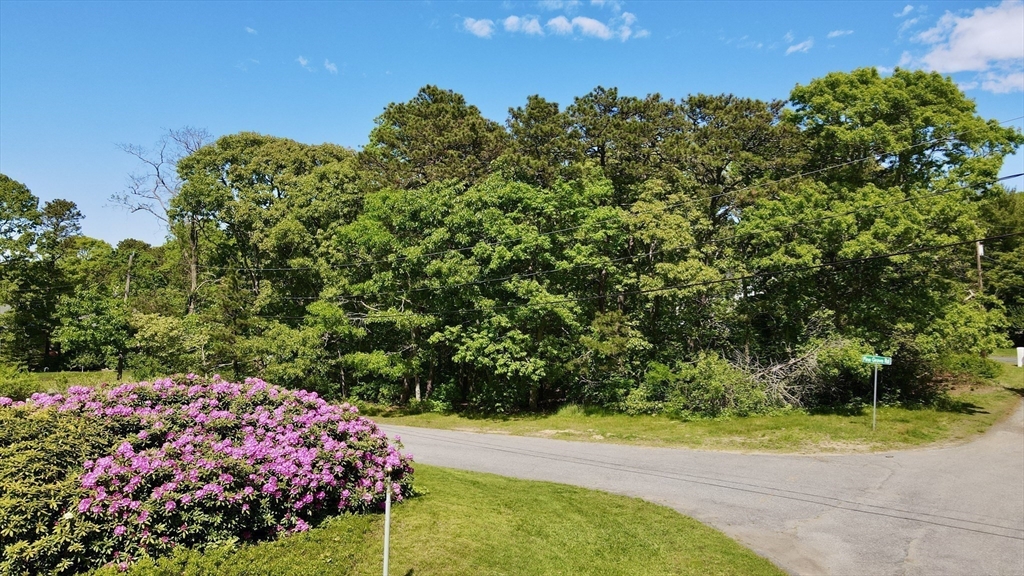 8 Pine Grove Rd