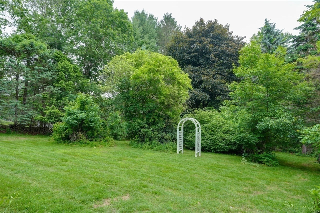 416 Norfolk Street