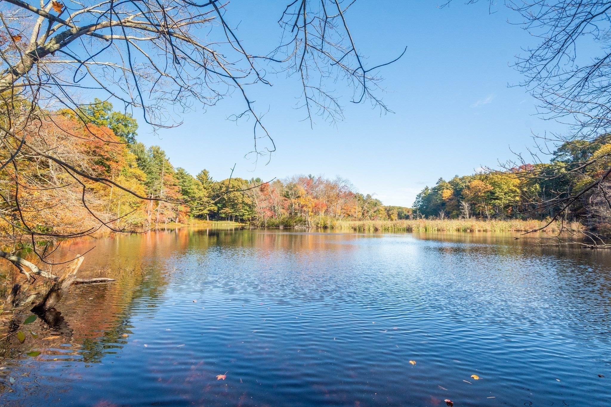 76 Todd Pond Road, Lincoln, MA, 76 Todd Pond Road, Lincoln, MA Photo #32