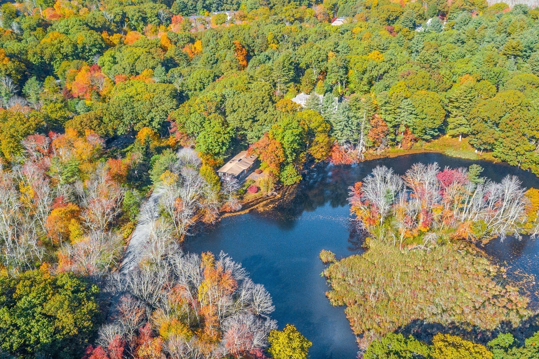 76 Todd Pond Road, Lincoln, MA, 76 Todd Pond Road, Lincoln, MA Photo #36