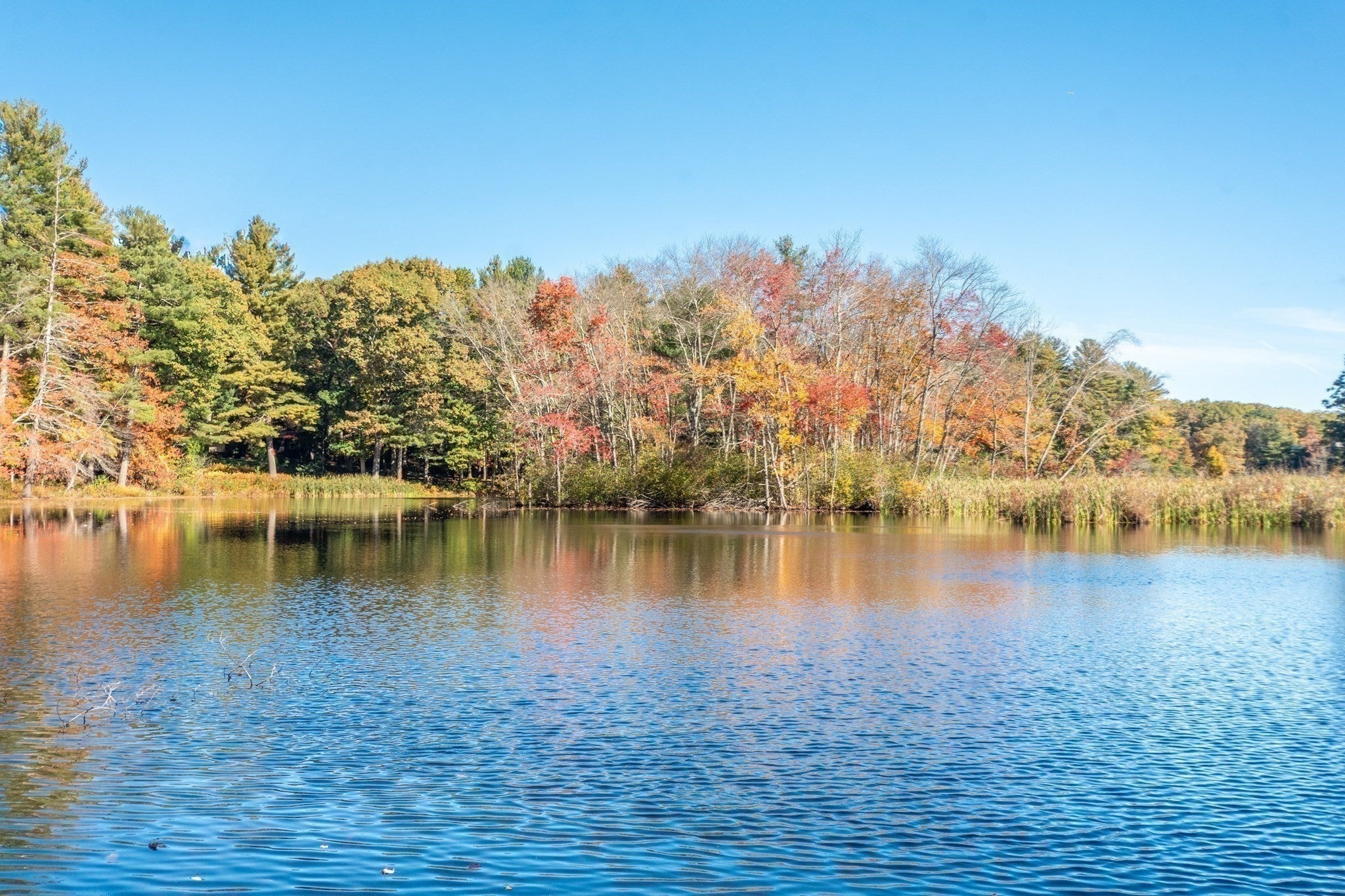 76 Todd Pond Road, Lincoln, MA, 76 Todd Pond Road, Lincoln, MA Photo #30