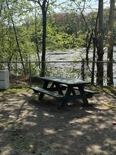 310 Codman Hill Rd 34D