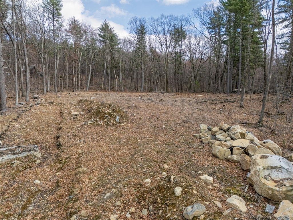 6 Meadow Rd