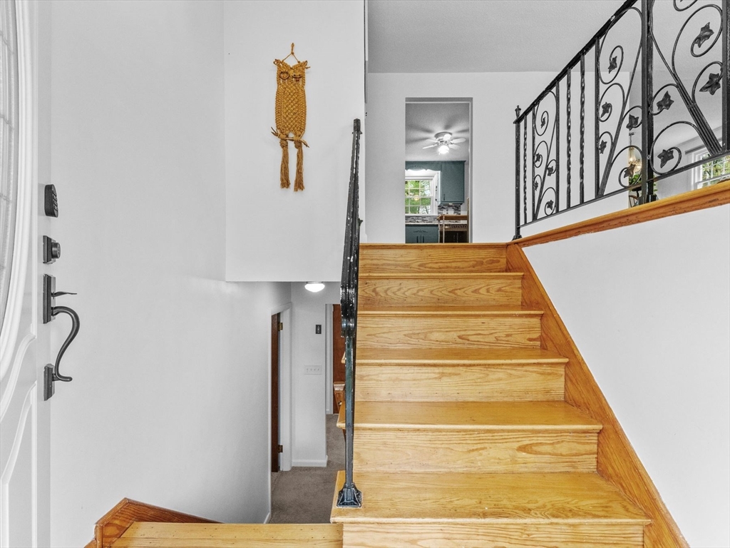 4 Marjorie Road