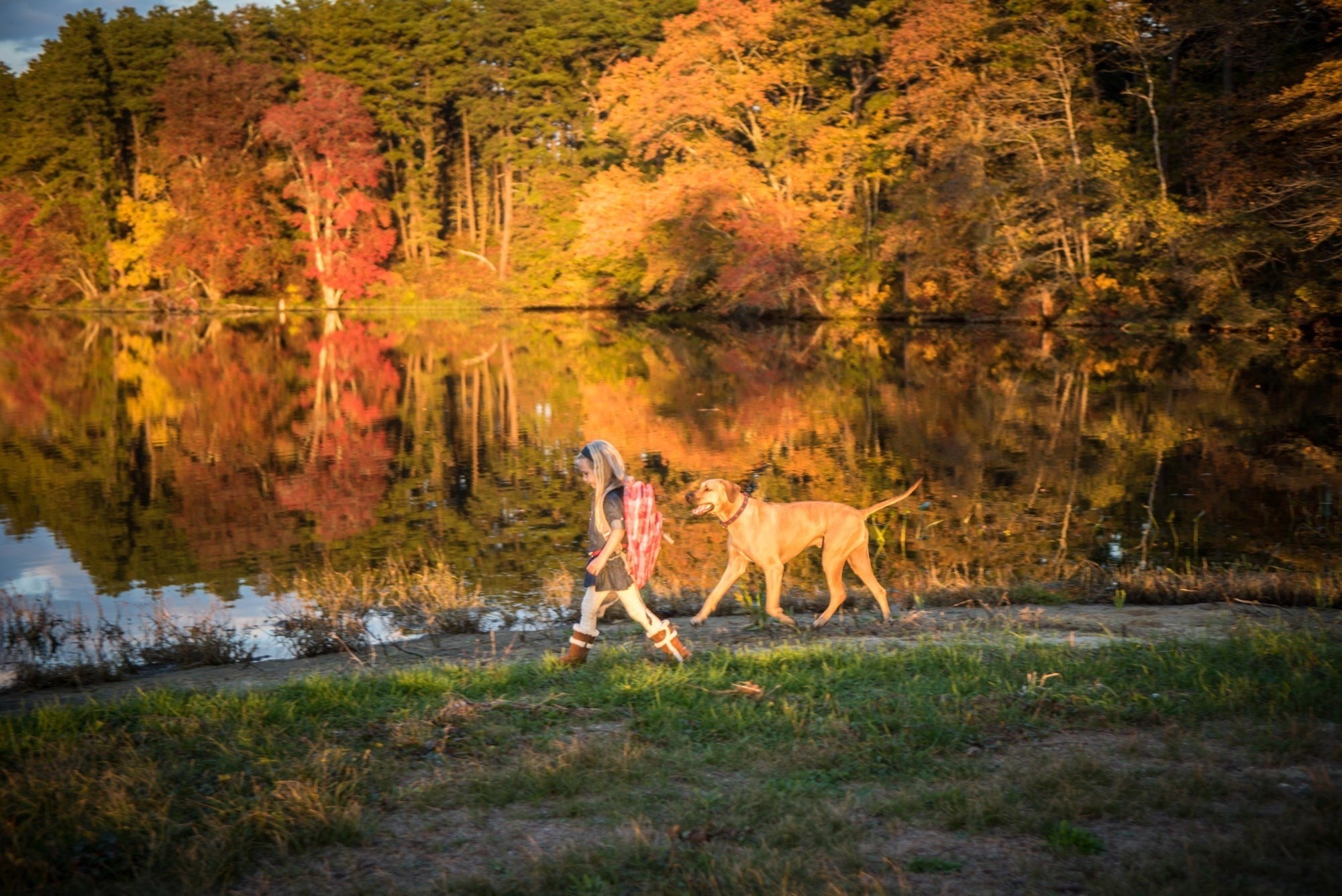 79 Sunflower Way, Plymouth, MA Photo #23