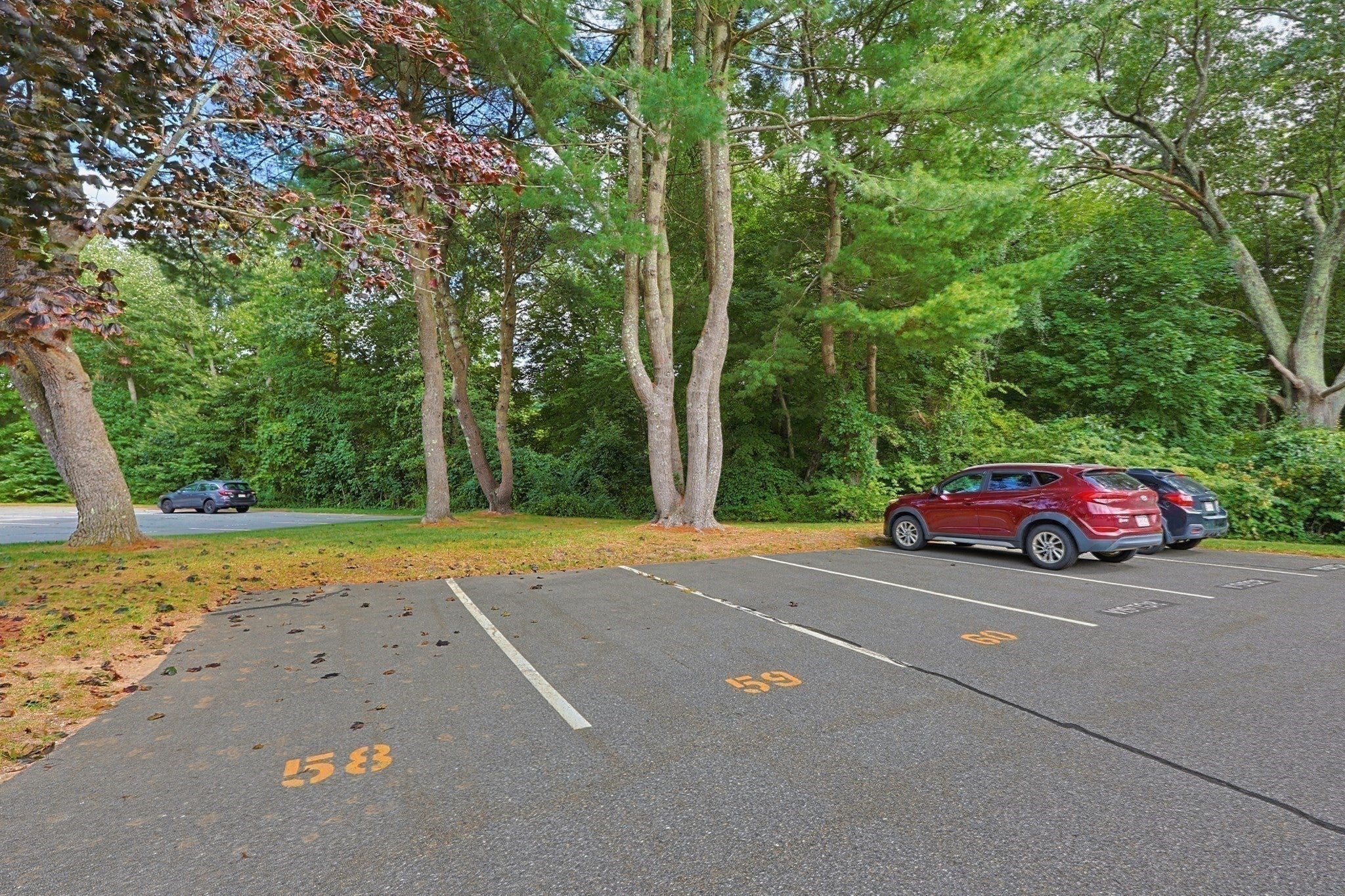 220 Bedford St #E11, Bridgewater, MA, 220 Bedford St #E11, Bridgewater, MA Photo #28