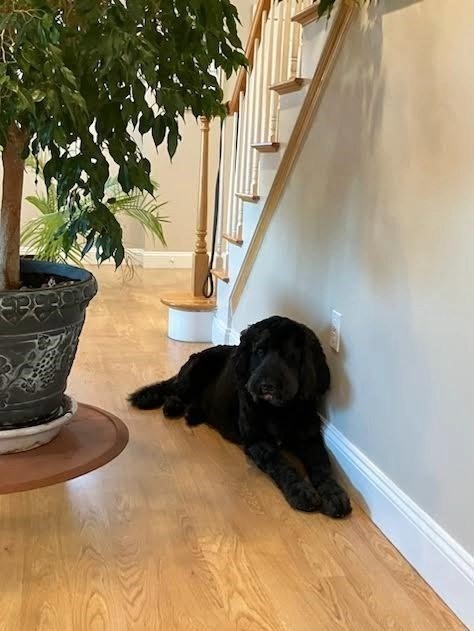 19 Harbourside Rd 19