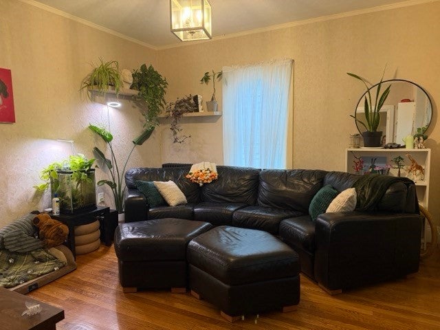 80 Dean Ave, Franklin, MA, 80 Dean Ave, Franklin, MA Photo #2