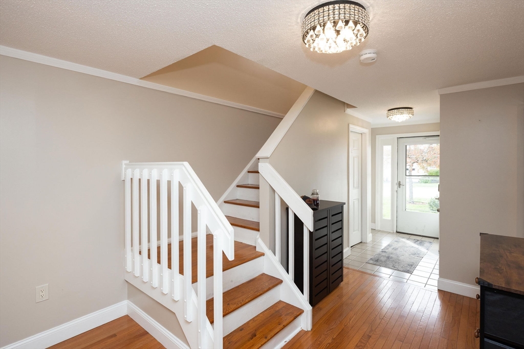 57 Chapman Pl 57