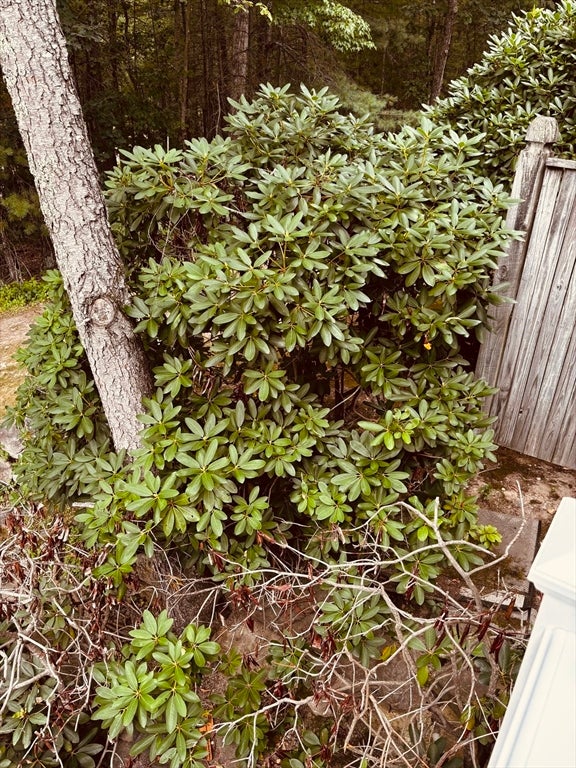 502 Cardinal Ln #502, Tyngsborough, MA Photo #39