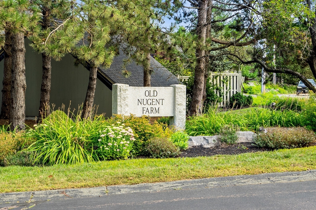 10 Old Nugent Farm Road 10