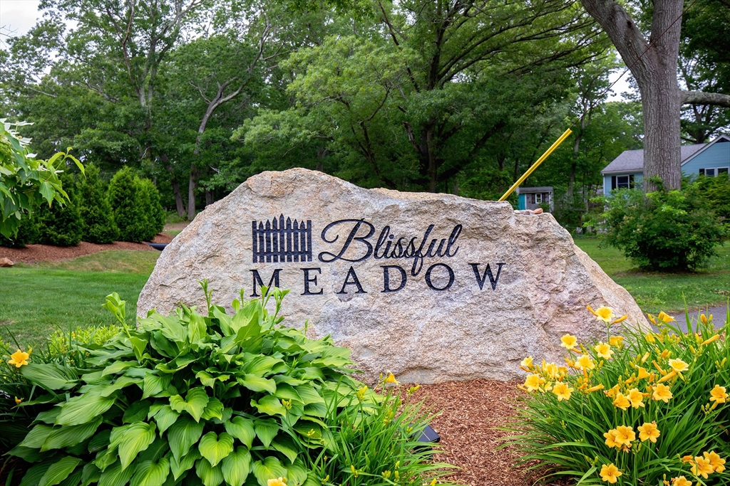 51 Blissful Meadow Dr. 51