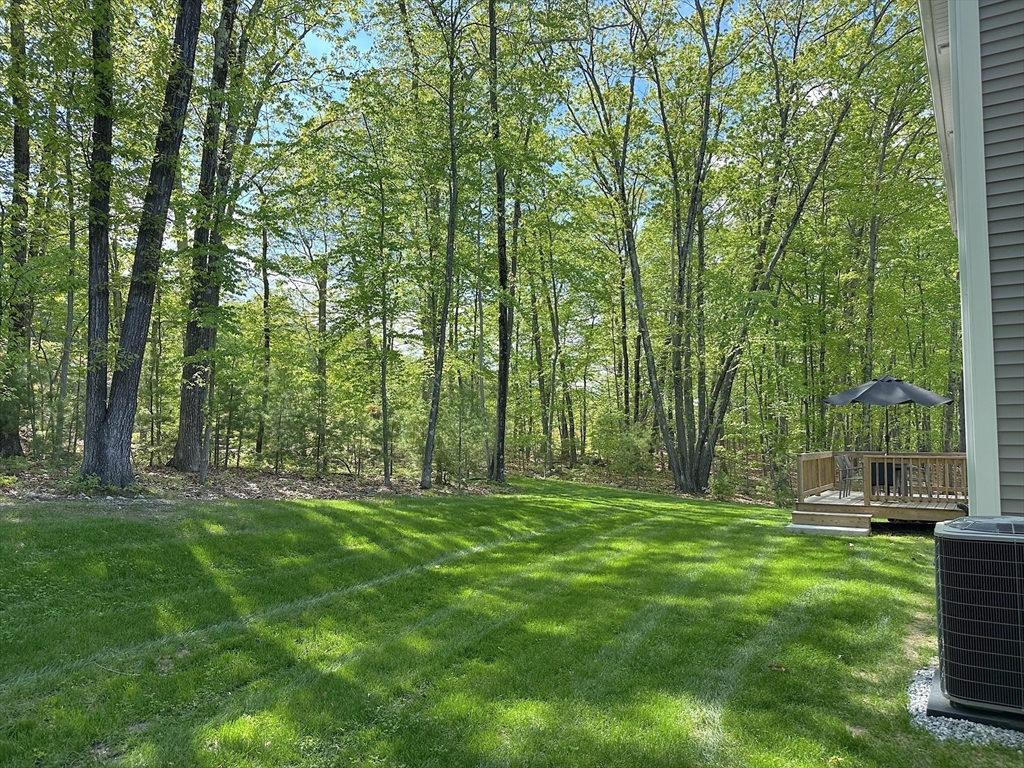 31 Oriole Dr
