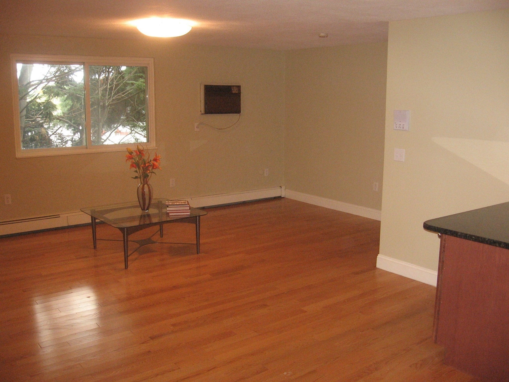 65 Woodlawn Avenue, Chelsea, MA, 65 Woodlawn Avenue, Chelsea, MA Photo #34