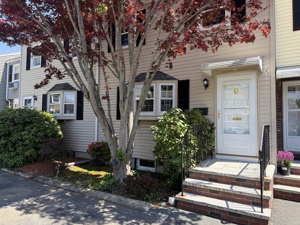98 Cedar Street 4