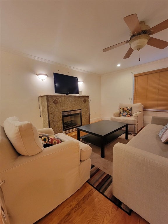 9 Elmore St #1, Boston, MA, 9 Elmore St #1, Boston, MA Photo #6