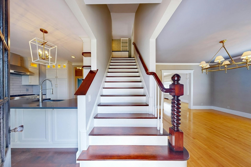 3 Buckthorn Terrace 2
