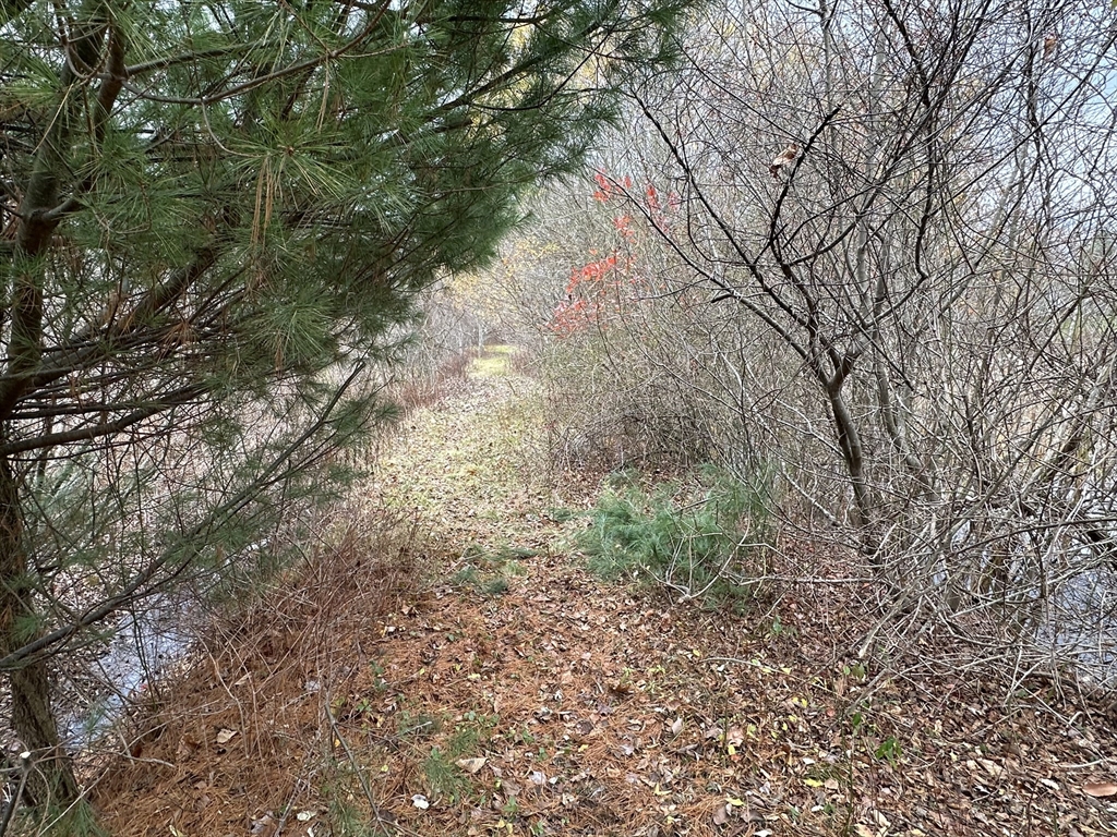 0 Cross Street (Rear)