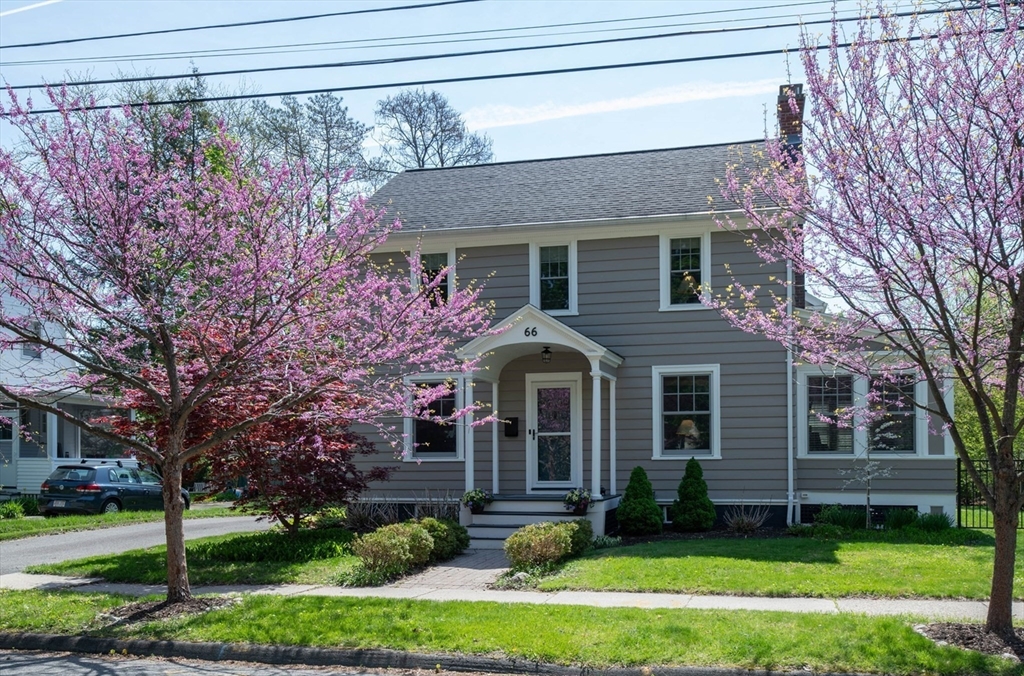 66 Maynard Rd