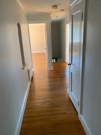 577 Hammond St #2, Brookline, MA, 577 Hammond St #2, Brookline, MA Photo #3