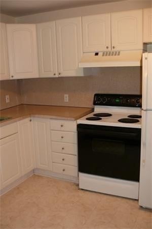 577 Hammond St #2, Brookline, MA, 577 Hammond St #2, Brookline, MA Photo #10