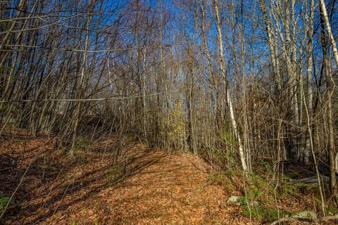 0 Goose Pond Road Tyringham MA 01264