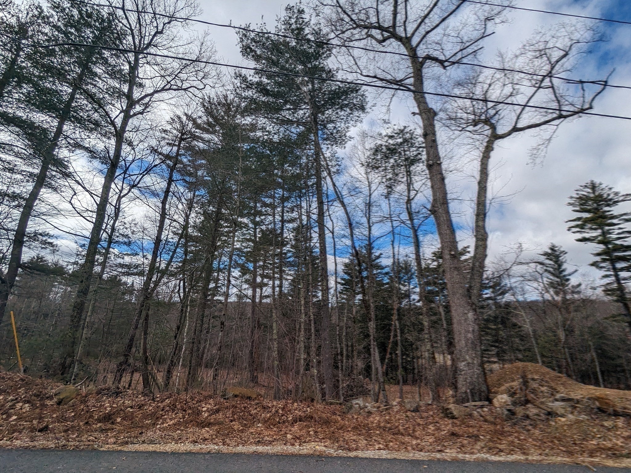 Lot 7 Old County Rd, Wales, MA, Lot 7 Old County Rd, Wales, MA Photo #34