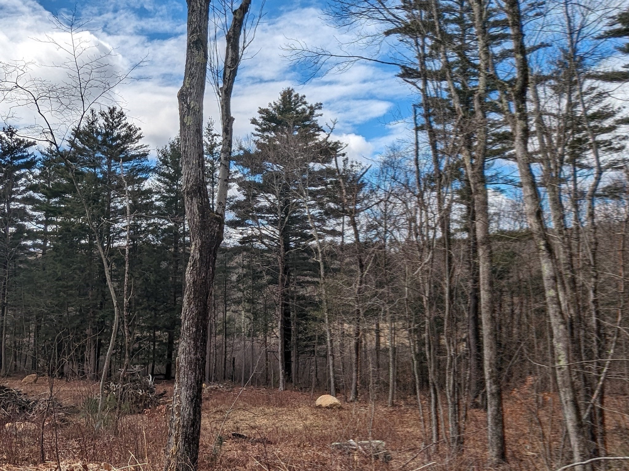 Lot 7 Old County Rd, Wales, MA, Lot 7 Old County Rd, Wales, MA Photo #30