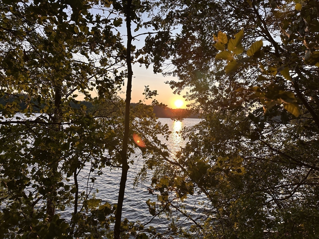 6 Megonko Rd