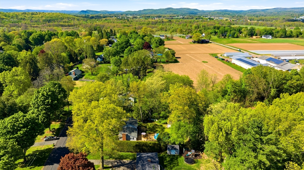 9 Meadowbrook Drive, Hadley, MA Photo #41
