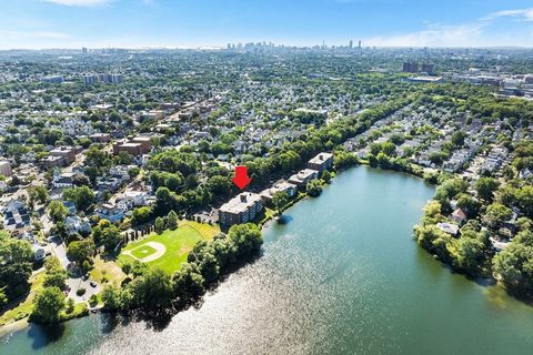 34 Hamilton Rd 302 Arlington MA 02474