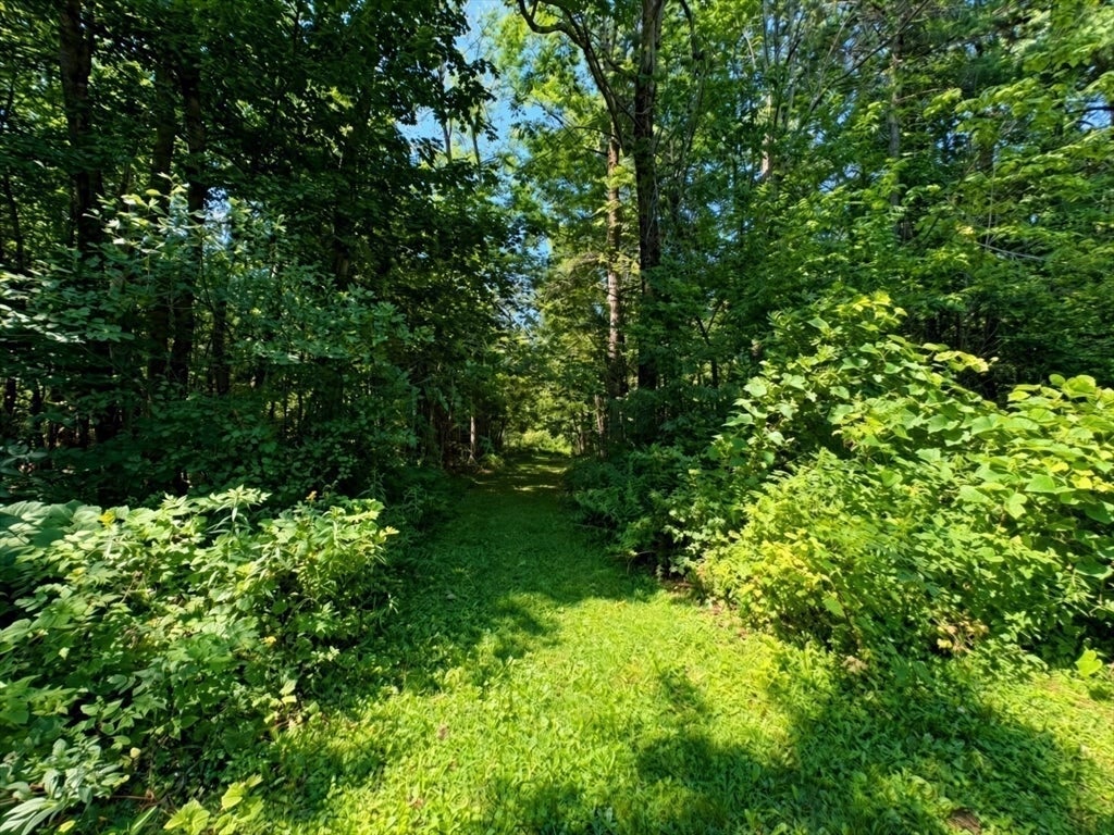 177 Fred Snow Road, Becket, MA Photo #28