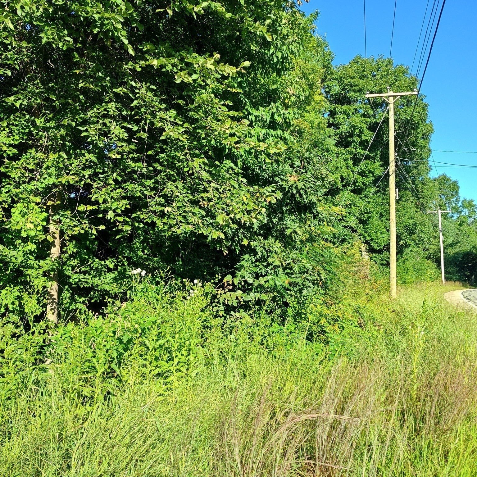 0 N Brookfield Rd