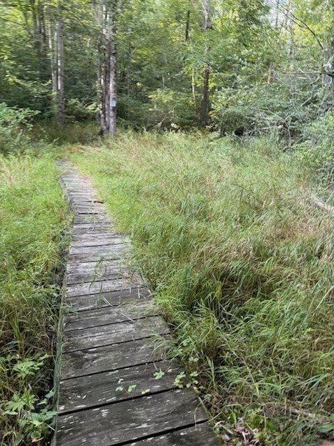 56 Hubbardston Rd