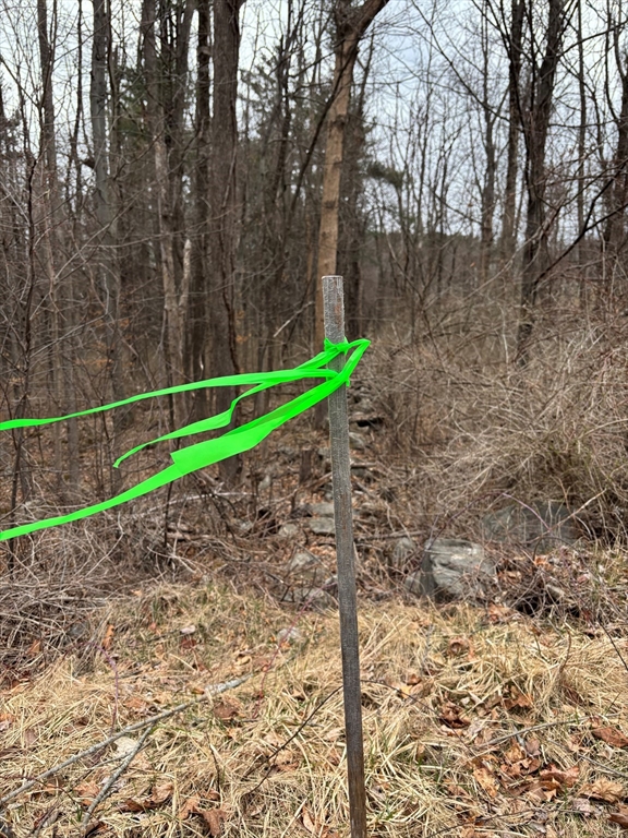 56 Hubbardston Rd